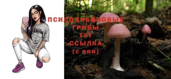 хмурый Новокубанск