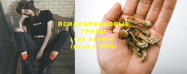 экстази Новозыбков